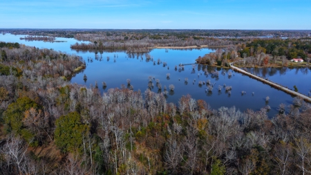 Alabama River Bluff Hunting & Timberland 183 Acres - image 31