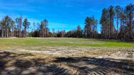 Alabama River Bluff Hunting & Timberland 183 Acres - image 24