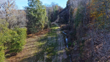 Alabama River Bluff Hunting & Timberland 183 Acres - image 30