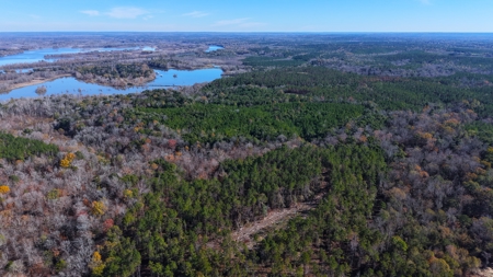 Alabama River Bluff Hunting & Timberland 183 Acres - image 32