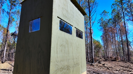 Alabama River Bluff Hunting & Timberland 183 Acres - image 27