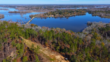 Alabama River Bluff Hunting & Timberland 183 Acres - image 42