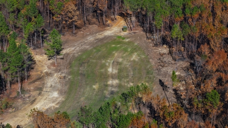 Alabama River Bluff Hunting & Timberland 183 Acres - image 38