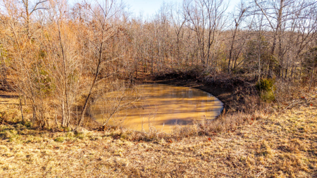 Country Home and Acreage for sale in the Missouri Ozarks - image 42