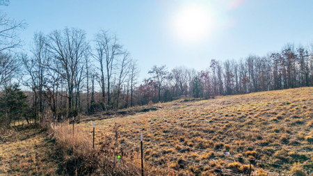 Country Home and Acreage for sale in the Missouri Ozarks - image 45