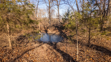 Country Home in the Ozarks | Alton, Missouri - image 40