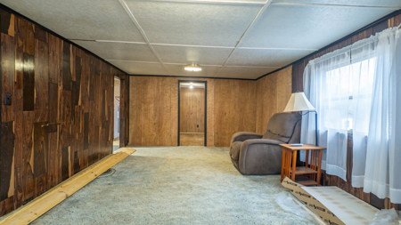 Country Home in the Ozarks | Alton, Missouri - image 7