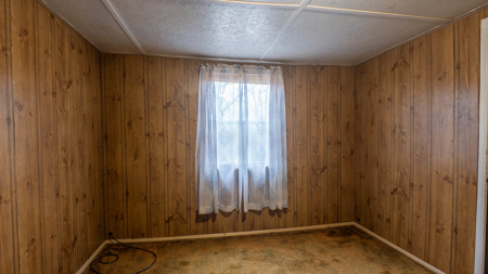 Country Home in the Ozarks | Alton, Missouri - image 27