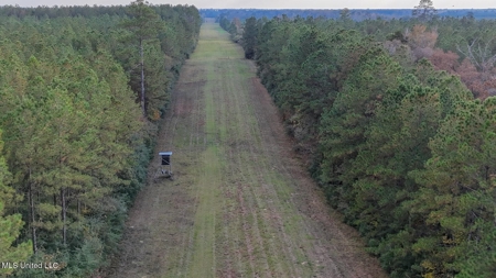 Prime Hunting Property in St Helena Parish, LA - image 10