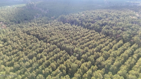 Prime Hunting Property in St Helena Parish, LA - image 5
