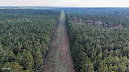Prime Hunting Property in St Helena Parish, LA - image 20