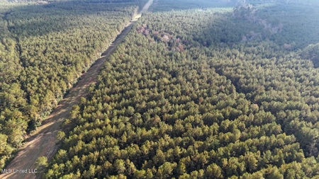 Prime Hunting Property in St Helena Parish, LA - image 6