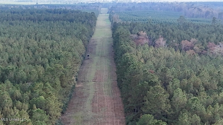 Prime Hunting Property in St Helena Parish, LA - image 21
