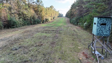 Prime Hunting Property in St Helena Parish, LA - image 26