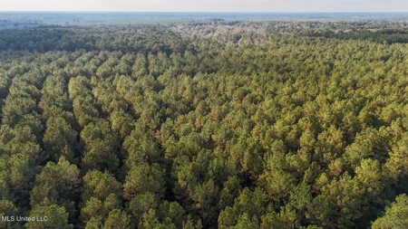 Prime Hunting Property in St Helena Parish, LA - image 23