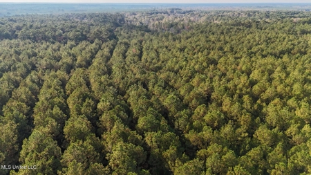 Prime Hunting Property in St Helena Parish, LA - image 12