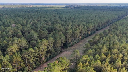 Prime Hunting Property in St Helena Parish, LA - image 18