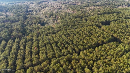 Prime Hunting Property in St Helena Parish, LA - image 3