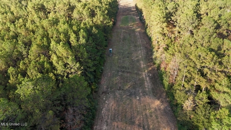 Prime Hunting Property in St Helena Parish, LA - image 24