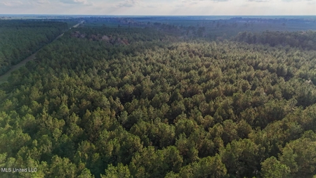 Prime Hunting Property in St Helena Parish, LA - image 16