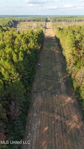 Prime Hunting Property in St Helena Parish, LA - image 25