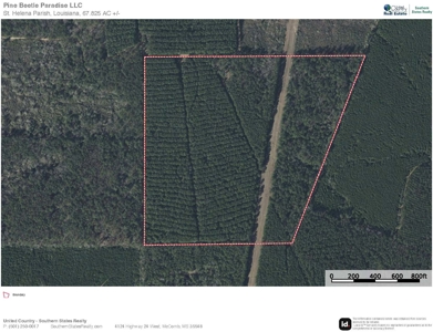 Prime Hunting Property in St Helena Parish, LA - image 32