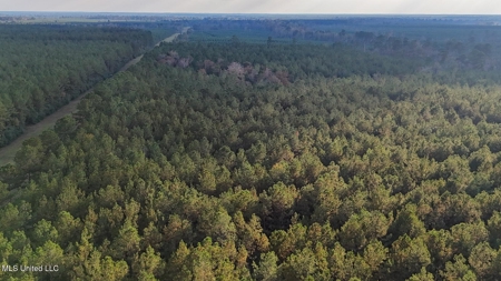 Prime Hunting Property in St Helena Parish, LA - image 19