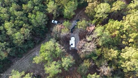 Prime Hunting Property in St Helena Parish, LA - image 28