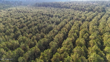 Prime Hunting Property in St Helena Parish, LA - image 14
