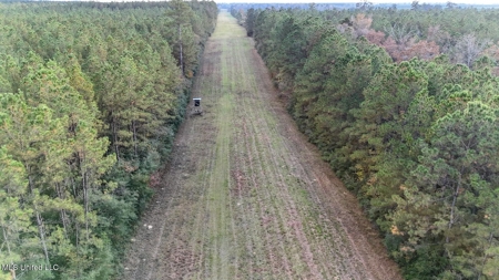 Prime Hunting Property in St Helena Parish, LA - image 9