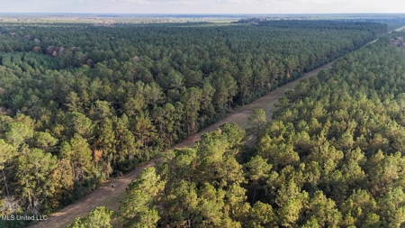 Prime Hunting Property in St Helena Parish, LA - image 17