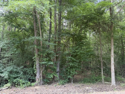 Land For Sale In Tn, 6.22 Acres+/- In Mcnairy County, Tn - image 11