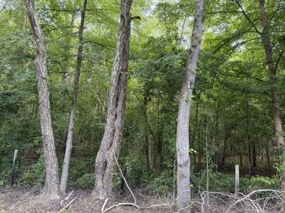 Land For Sale In Tn, 6.22 Acres+/- In Mcnairy County, Tn - image 10