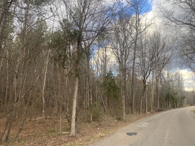 Land For Sale In Tn, 6.22 Acres+/- In Mcnairy County, Tn - image 1