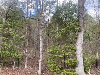 Land For Sale In Tn, 6.22 Acres+/- In Mcnairy County, Tn - image 7