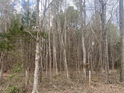 Land For Sale In Tn, 6.22 Acres+/- In Mcnairy County, Tn - image 4