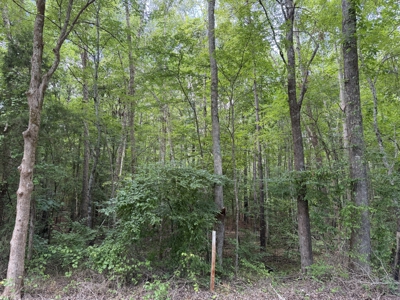 Land For Sale In Tn, 6.22 Acres+/- In Mcnairy County, Tn - image 14