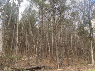 Land For Sale In Tn, 6.22 Acres+/- In Mcnairy County, Tn - image 3