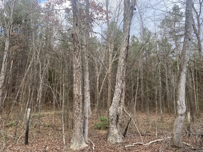 Land For Sale In Tn, 6.22 Acres+/- In Mcnairy County, Tn - image 5