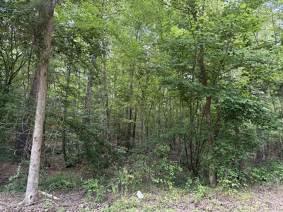 Land For Sale In Tn, 6.22 Acres+/- In Mcnairy County, Tn - image 13