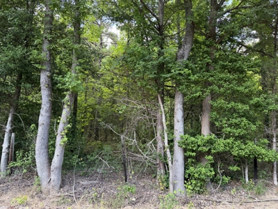 Land For Sale In Tn, 6.22 Acres+/- In Mcnairy County, Tn - image 9