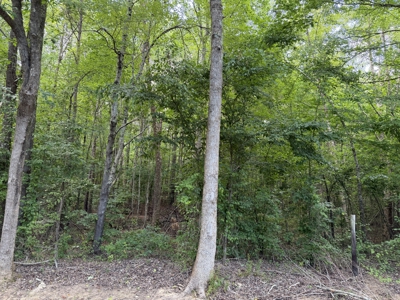 Land For Sale In Tn, 6.22 Acres+/- In Mcnairy County, Tn - image 12