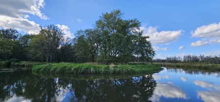Off-Grid Solar Renewable Energy System Home on 67 Acres with Pine - image 6