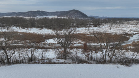 Off-Grid Solar Renewable Energy System Home on 67 Acres with Pine - image 43