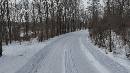 Off-Grid Solar Renewable Energy System Home on 67 Acres with Pine - image 44