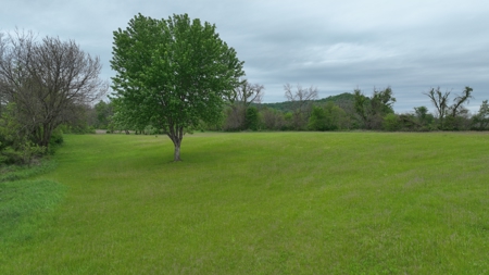 Off-Grid Solar Renewable Energy System Home on 67 Acres with Pine - image 8