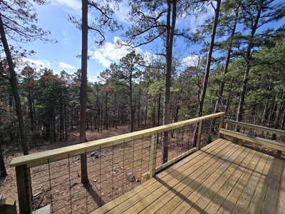 Cabin Adjoining National Forest – Billy Creek Recreational Area - image 12