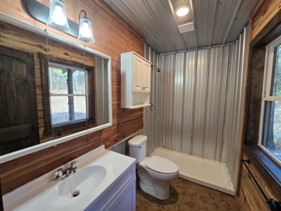 Cabin Adjoining National Forest – Billy Creek Recreational Area - image 28