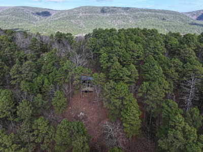 Cabin Adjoining National Forest – Billy Creek Recreational Area - image 32