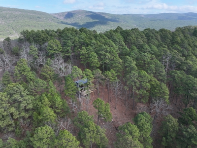 Cabin Adjoining National Forest – Billy Creek Recreational Area - image 31